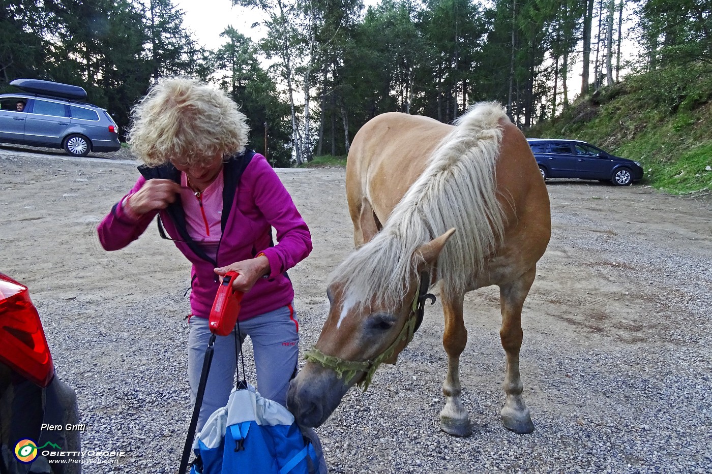 08 Siamo accolti da un cavallo alla ricerca di cibo....JPG -                                